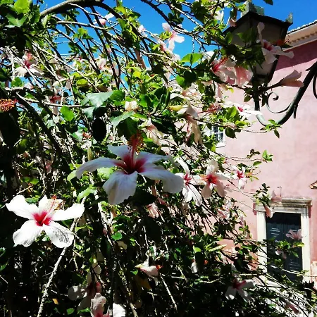 Διαμέρισμα Venetian Well Cozy Corfu Old Town *